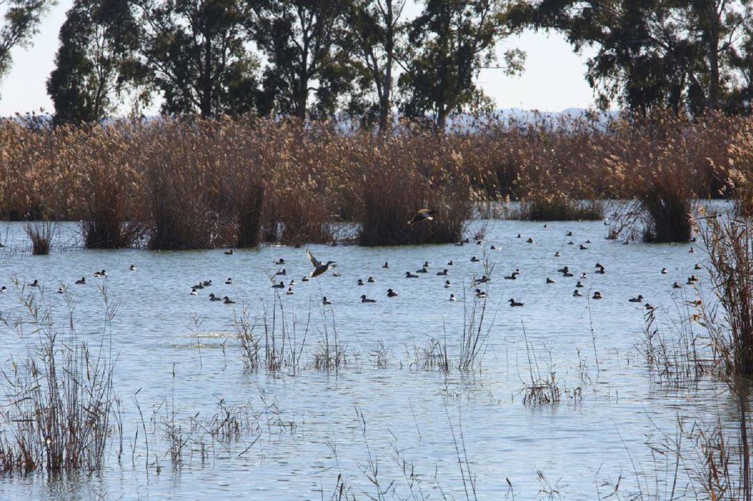 Parque Natural del Hondo