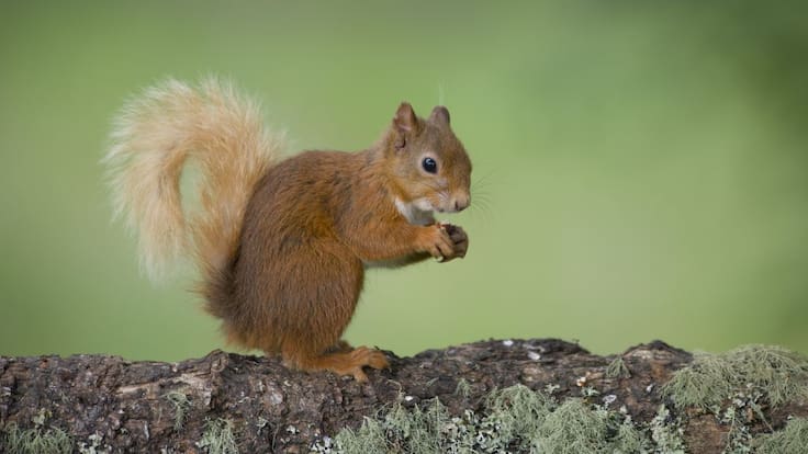 Entrevista a Nerea Marín