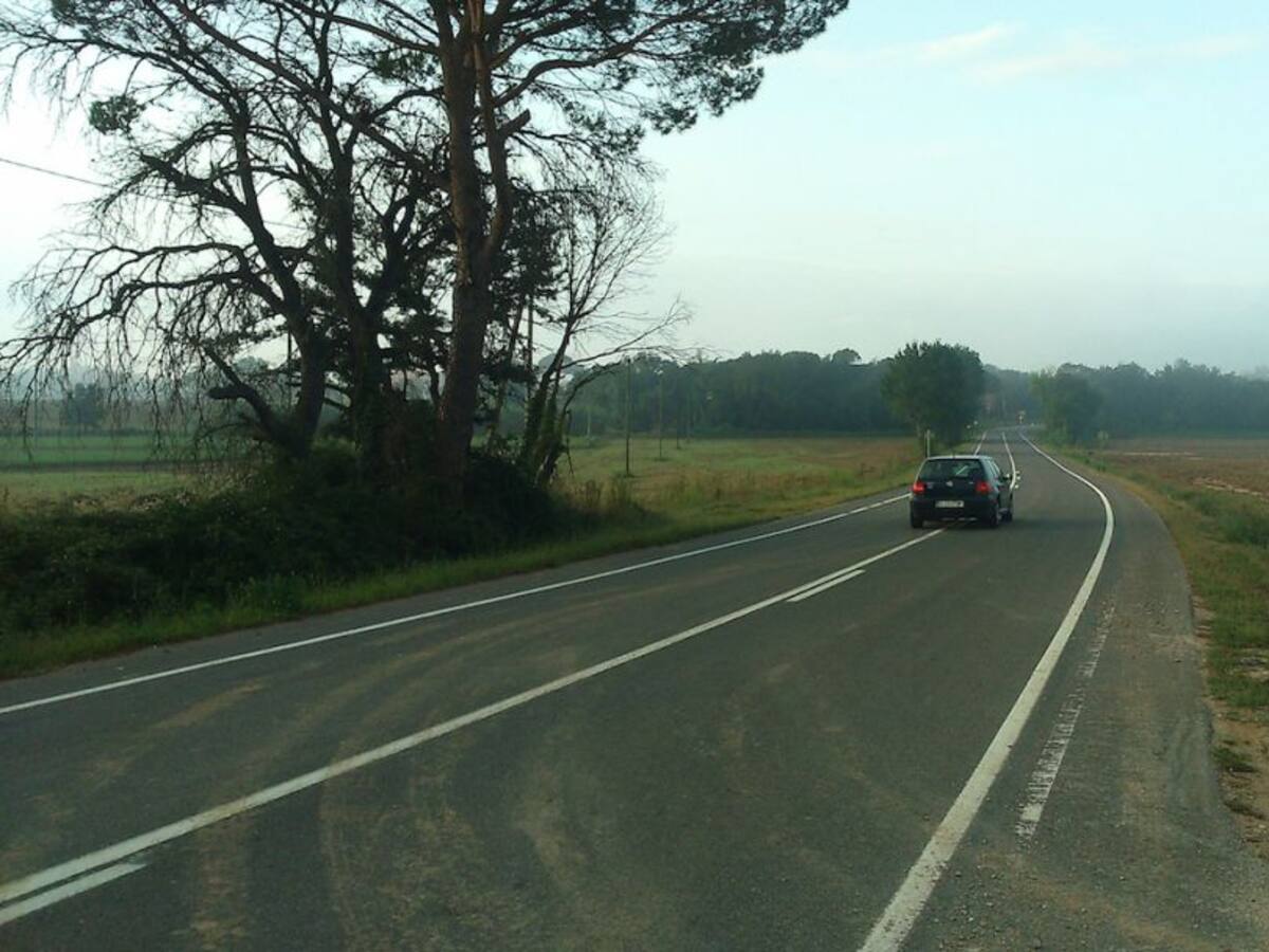 Menys velocitat per no atropellar animals