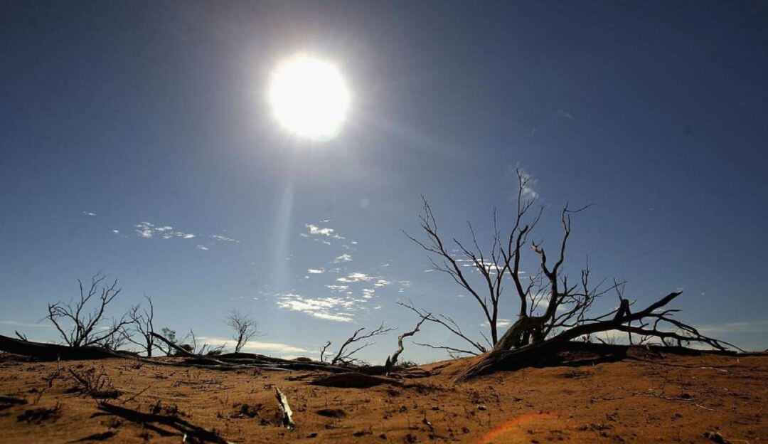 La comunidad científica viene alertando, desde hace décadas, del deterioro de los ecosistemas