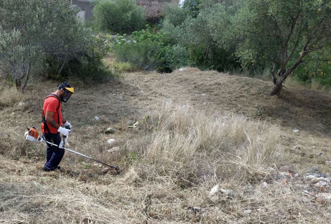 Trabajador agrícola en Tavernes de la Valldigna 