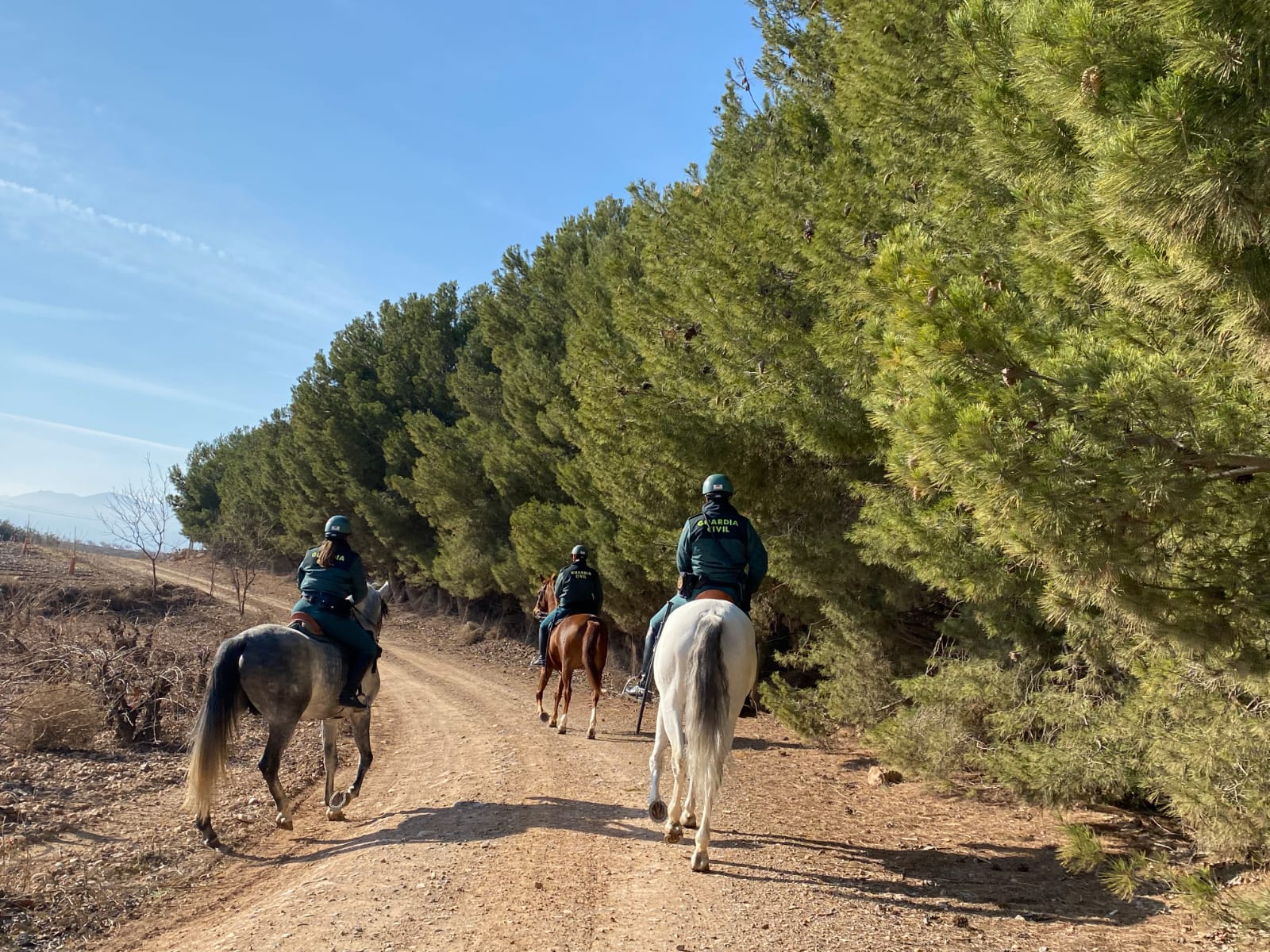 El Escuadrón de Caballería de la Guardia Civil se ha desplegado en varios municipios de la comarca de Valdejalón, en la provincia de Zaragoza, para reforzar la seguridad en el entorno agrario