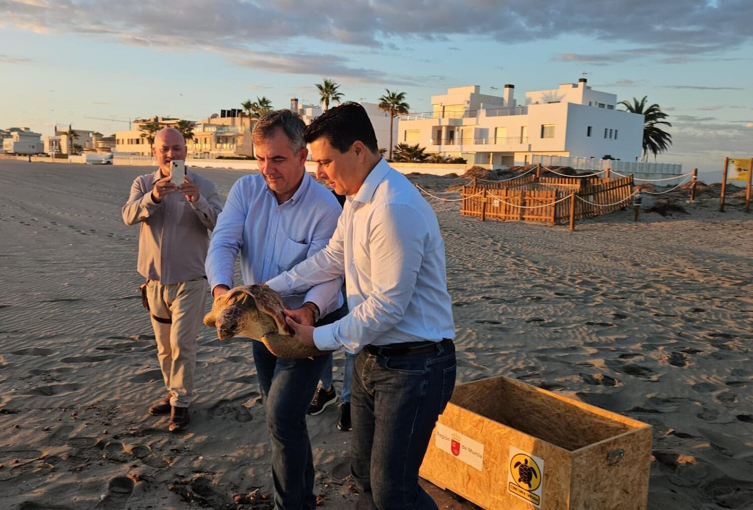 El consejero de Medio Ambiente, Universidades, Investigación y Mar Menor, Juan María Vázquez, y el alcalde de San Javier, José Miguel Luengo, devuelven al mar una tortuga boba en la playa de El Pedruchillo