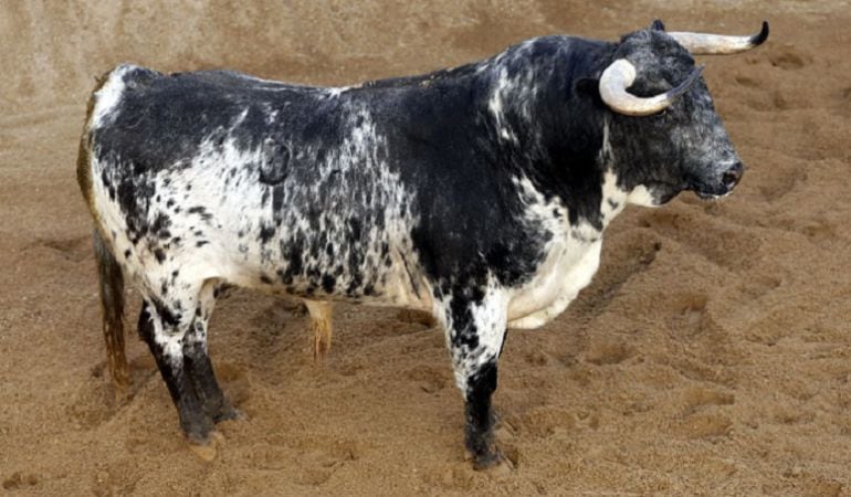 Este toro de Victoriano del Río será el encargado de abrir la tarde en la Maestranza