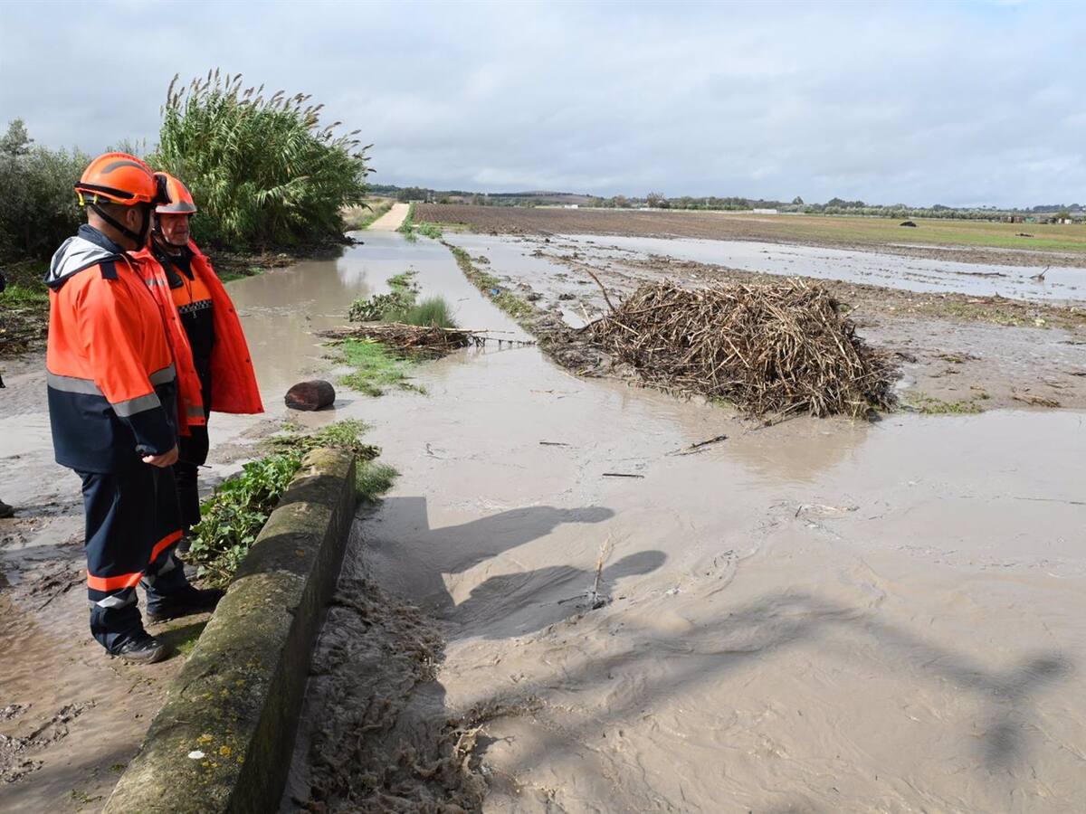 Jerez solo podrá solicitar a la Junta poco más de 80.000 euros para paliar los daños ocasionados por la DANA