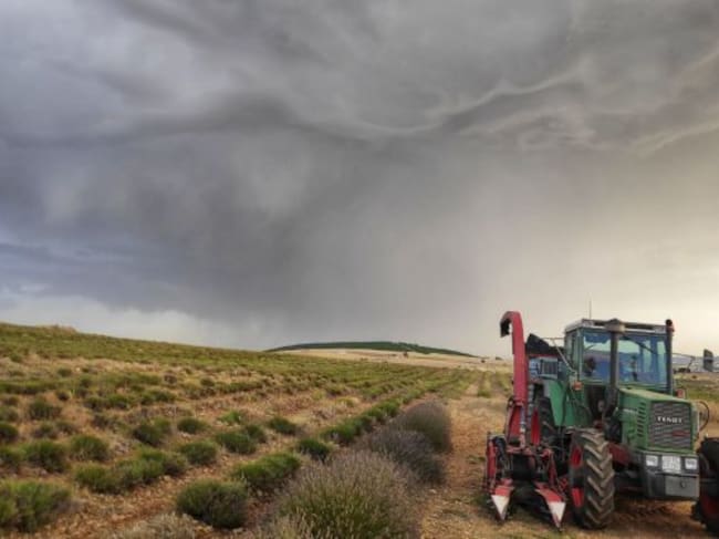 Rodrigo Carrillo acompaña sus publicaciones en Twitter con sus propias fotografías.