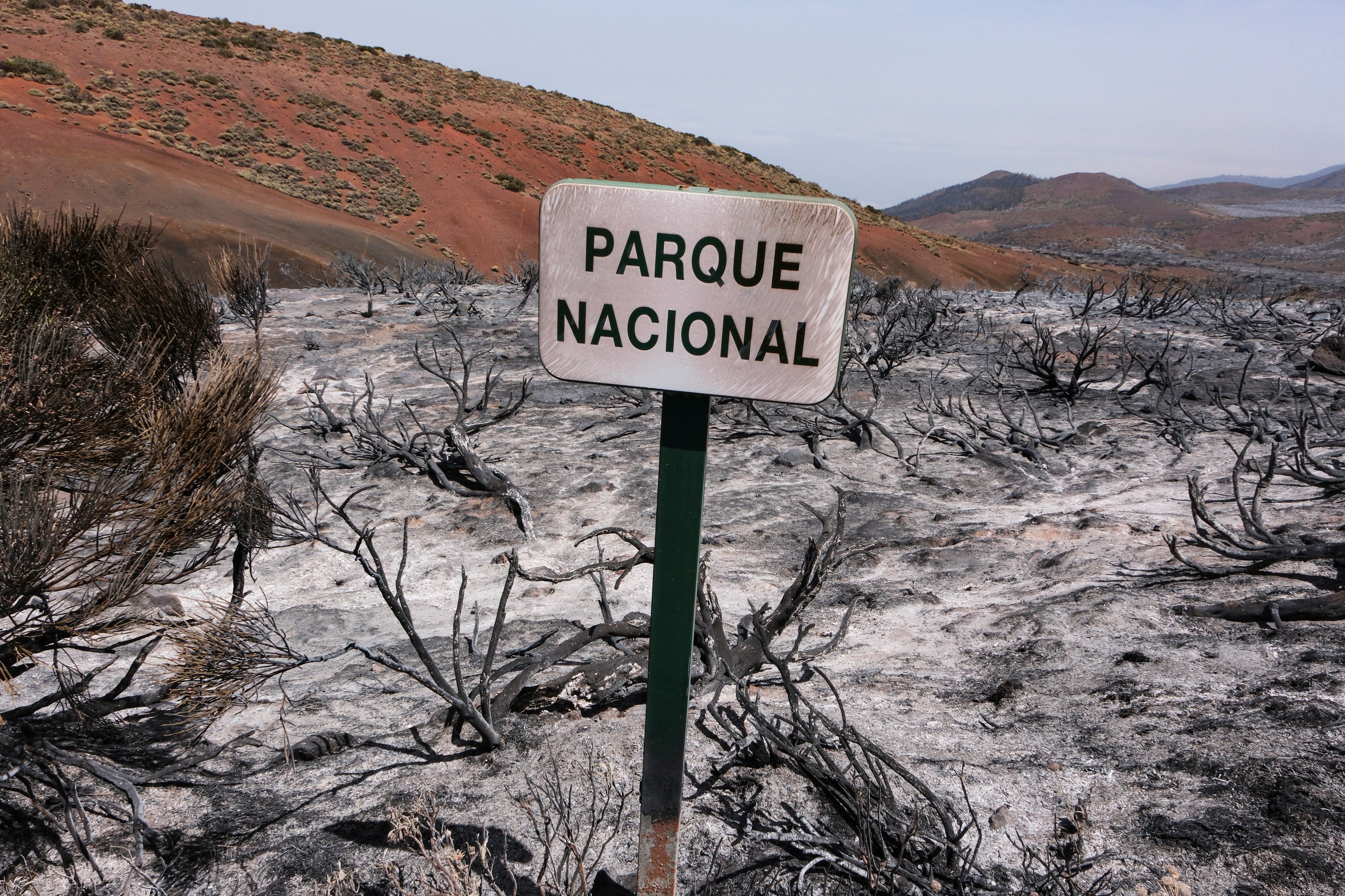 GRAFCAN6089. IZAÑA (TENERIFE), 24/08/2023.- El Parque Nacional del Teide este jueves tras el paso del incendio forestal que afecta a la isla de Tenerife. EFE/Alberto Valdés
