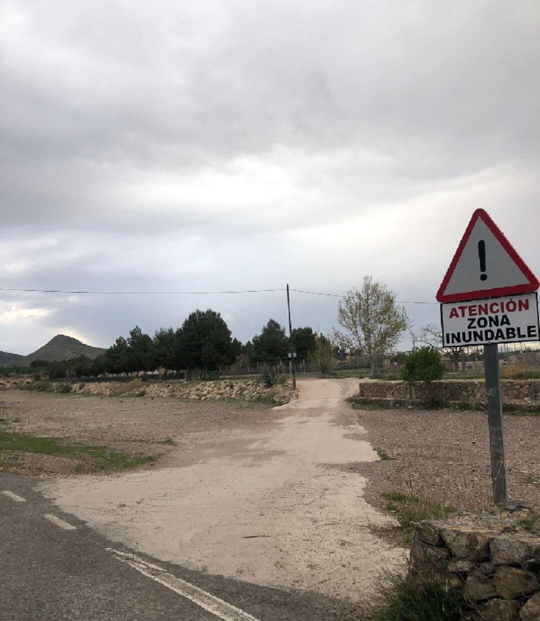 Nueva carretera de acceso al Colegio Público de El Consejero.