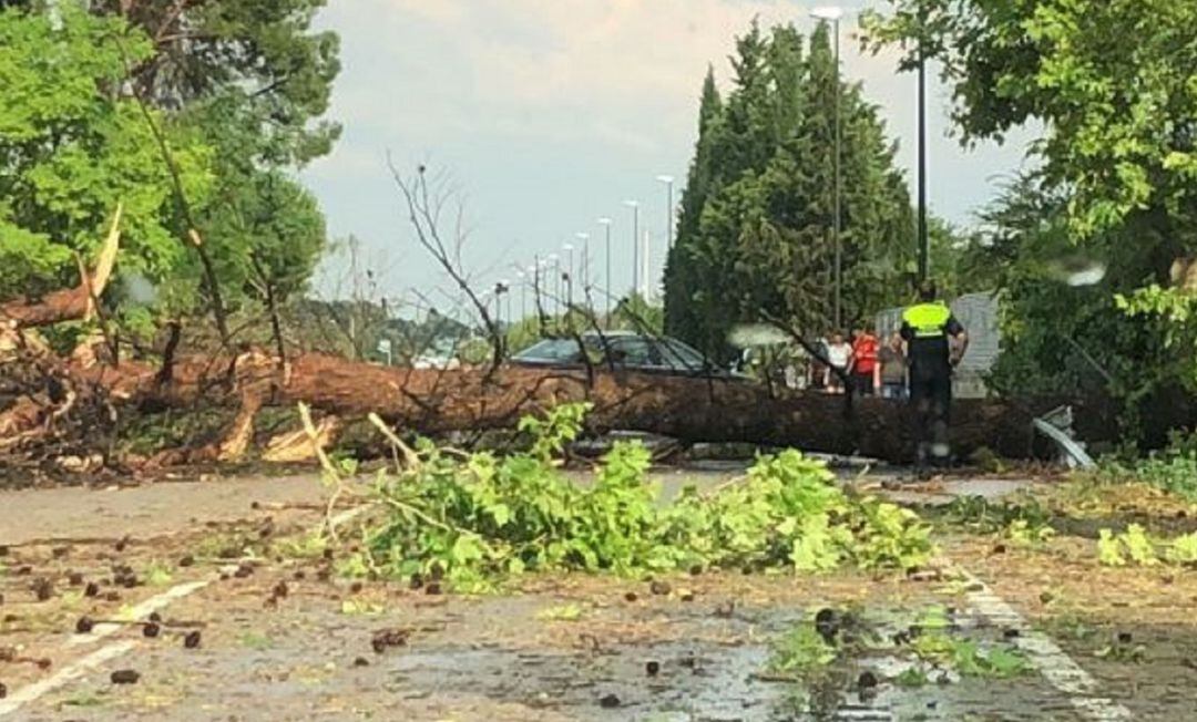 Consecuencias de una fuerte tormenta, en verano de 2018, en Garrapinillos (Zaragoza).