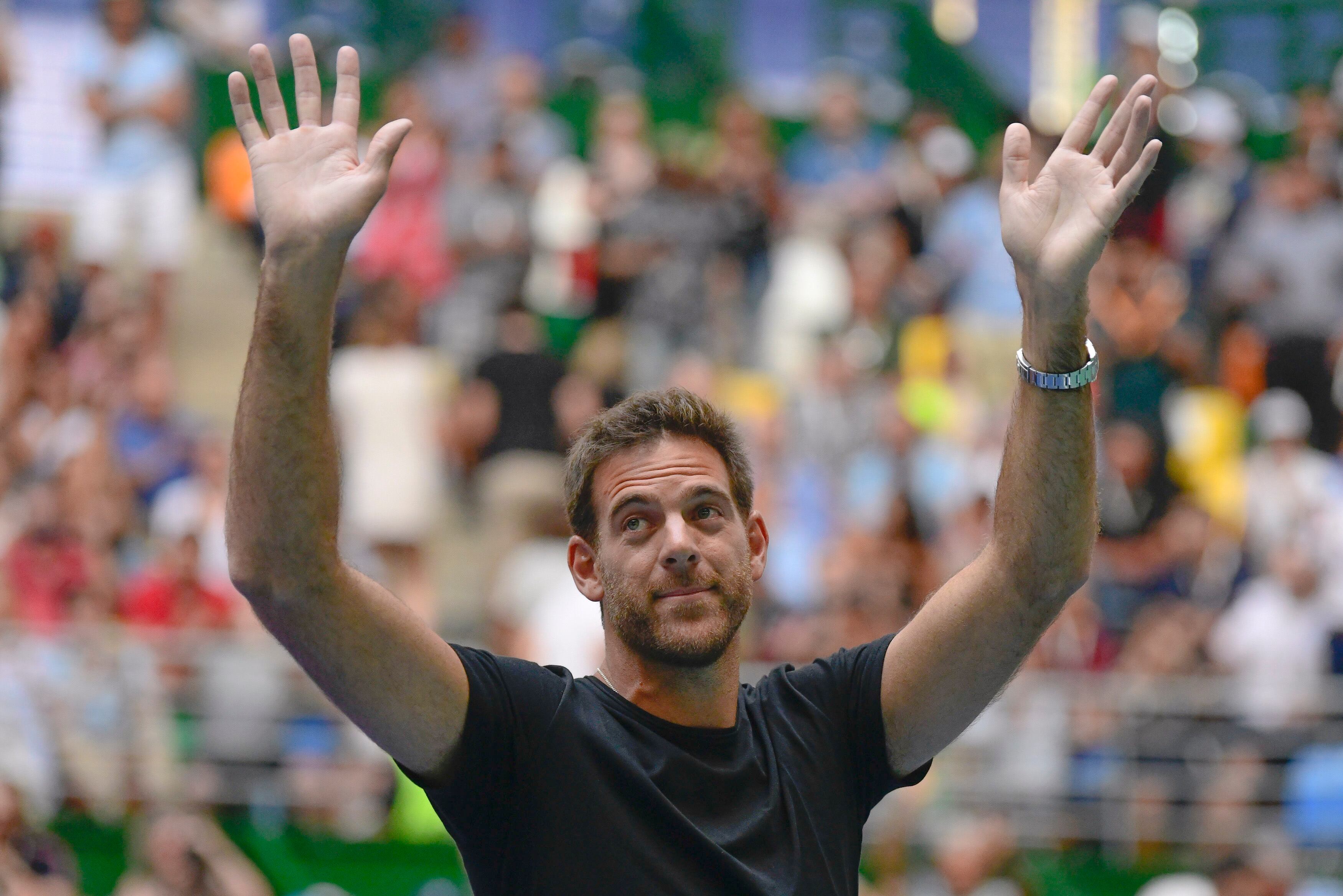 Juan Martín del Potro anuncia su retirada del tenis