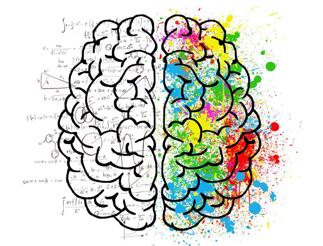 Recreación de la actividad emocional en un cerebro humano