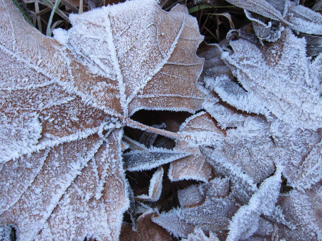 Invierno, Frío, Hielo, Heladas, Bajada De Temperaturas, Bajo Cero