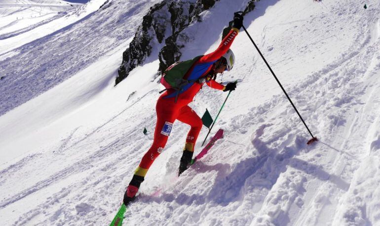 Imatge de la Font Blanca de 2017.