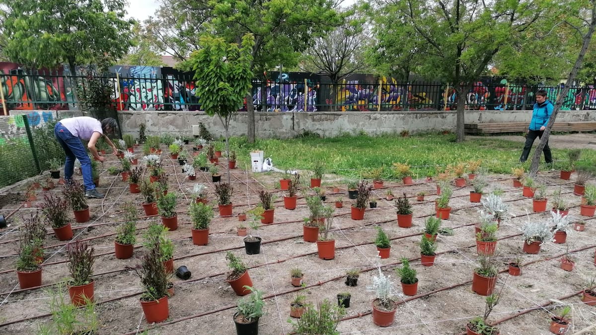 Charlamos con Clara Vignolo, coordinadora del proyecto de Jardines escolares sostenible