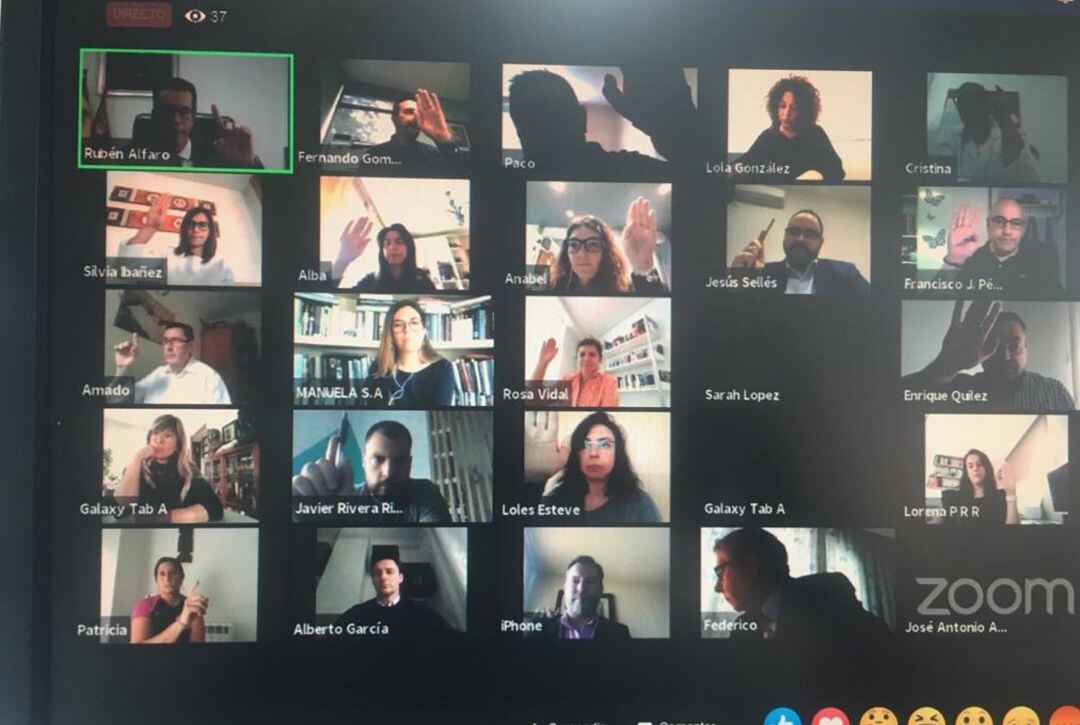 Pleno Ayuntamiento Elda