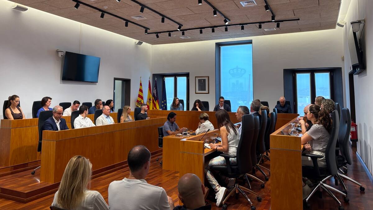Pleno extraordinario Ibiza