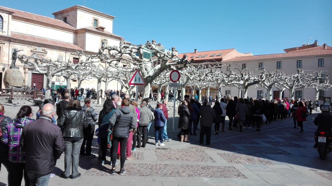 Aspecto de la cola en la Plaza de Viriato para recibir los plantones 