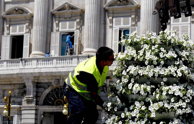 Un operario de parques y jardines coloca una maceta con petunias ante el Palacio Real donde se trabaja en los últimos preparativos