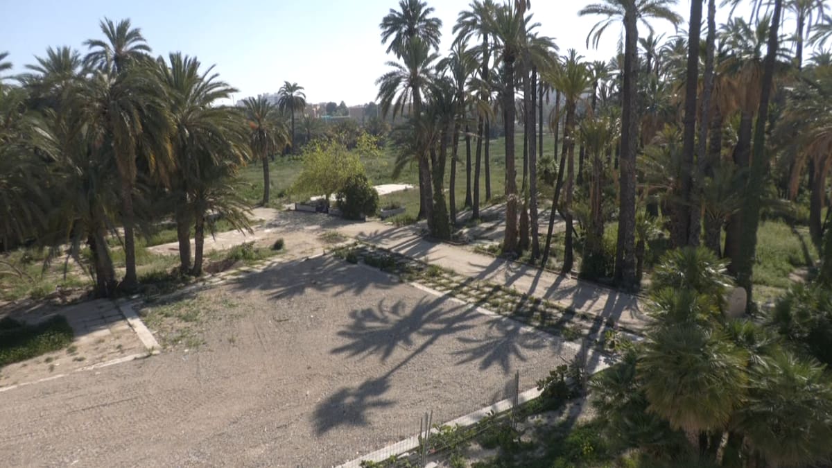 La restauración integral del Hort del Gat en Elche estará finalizada para agosto