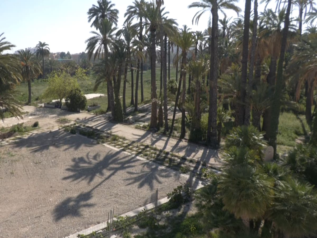 La restauración integral del Hort del Gat en Elche estará finalizada para agosto