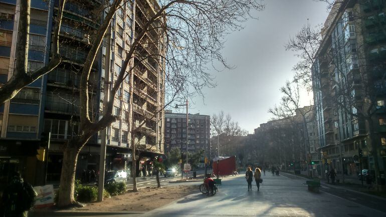Plantaneros en la Gran Vía.