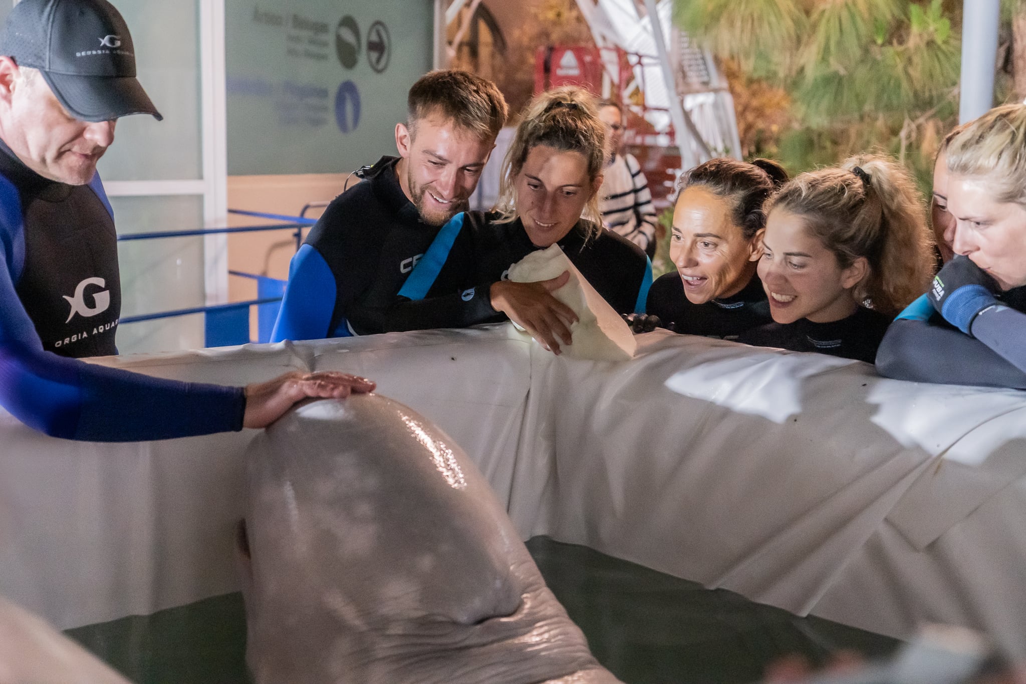 Cuidadores con las dos belugas rescatadas en l&#039;Ocenogràfic de València