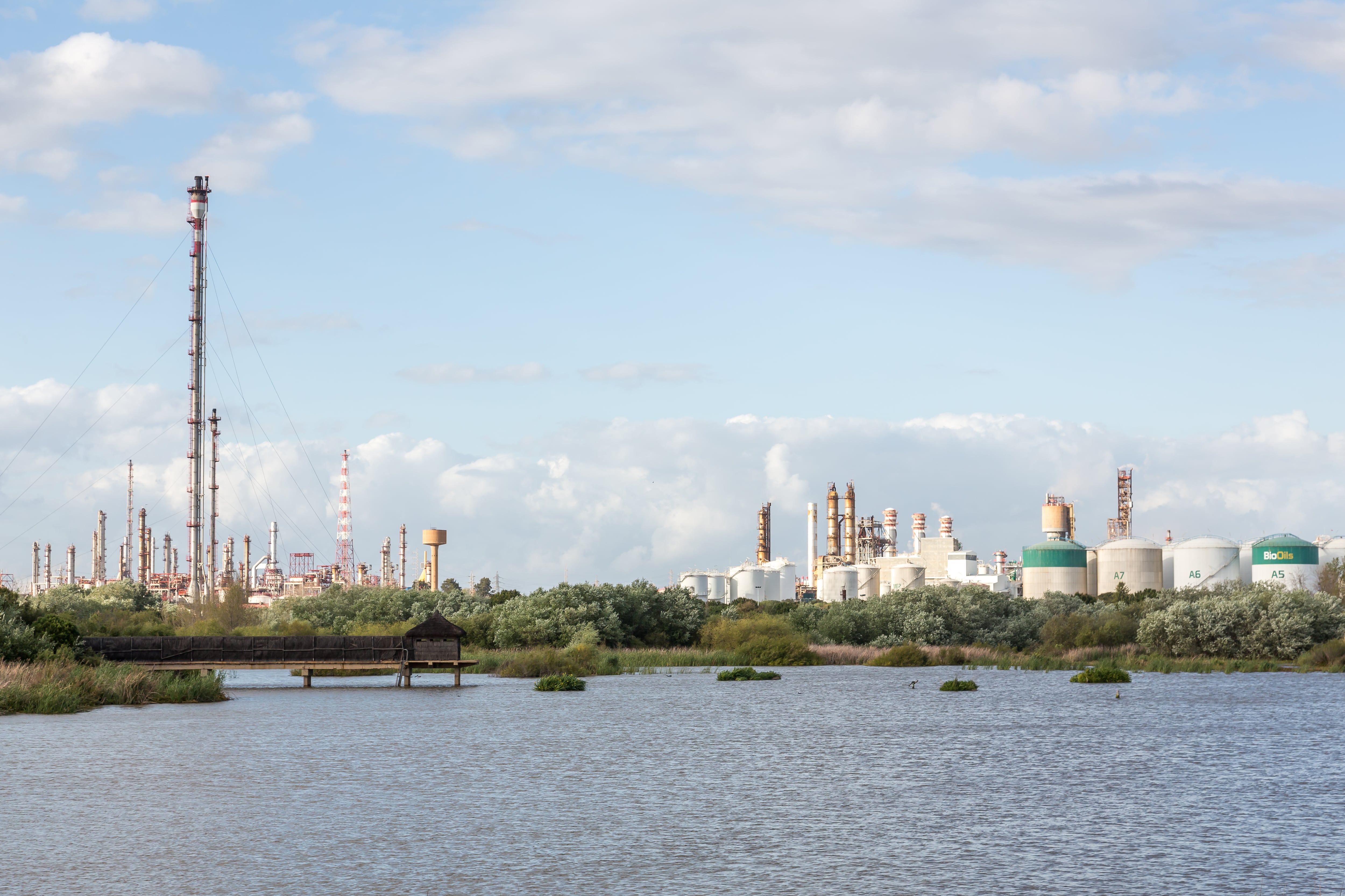 Nature reserve with refinery on background, Laguna Las Madres, Huelva, Andalusia, Spain