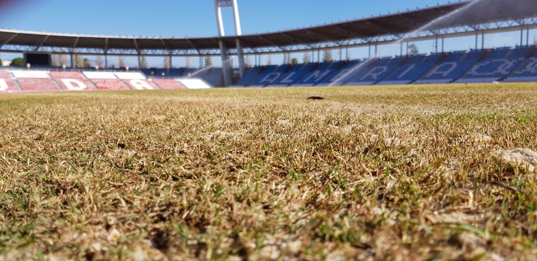 Así está el césped del Mediterráneo.