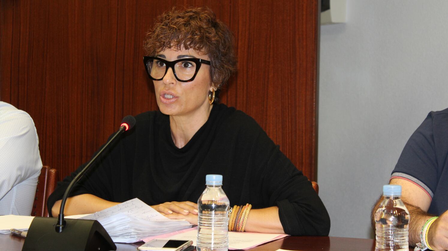 Ana Sabater durante el Pleno extraordinario de Novelda