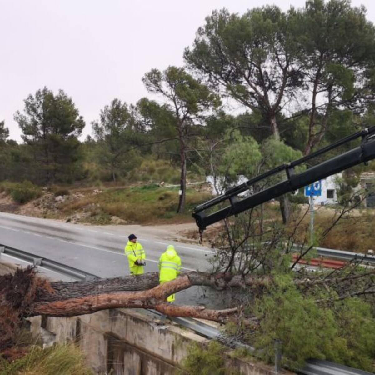 Se corta el paso a vehículos pesados en la autovía del Noroeste, la autovía A-91 y la RM-730, en Moratalla