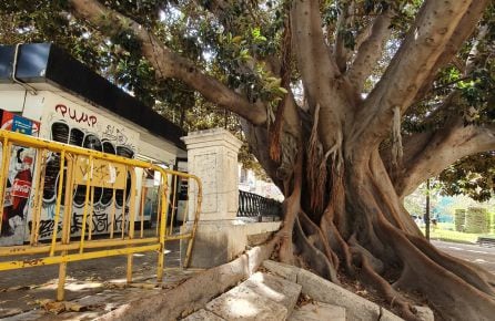 La gasolinera del Parterre se une a la de la calle Xàtiva, que también está cerrada.