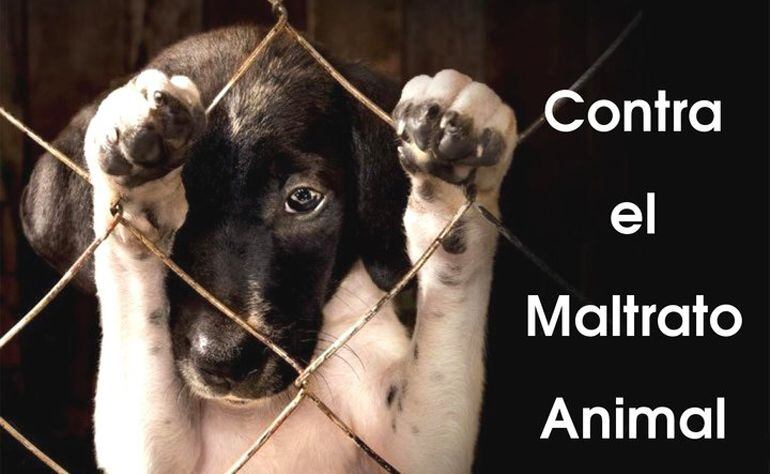 Cartel contra el maltrato animal