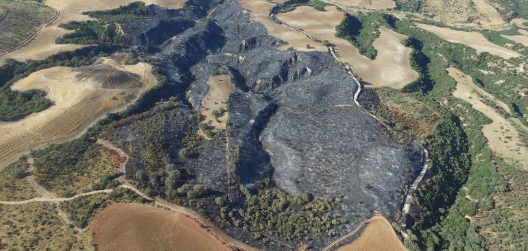 Terreno de monte bajo quemado por la imprudencia