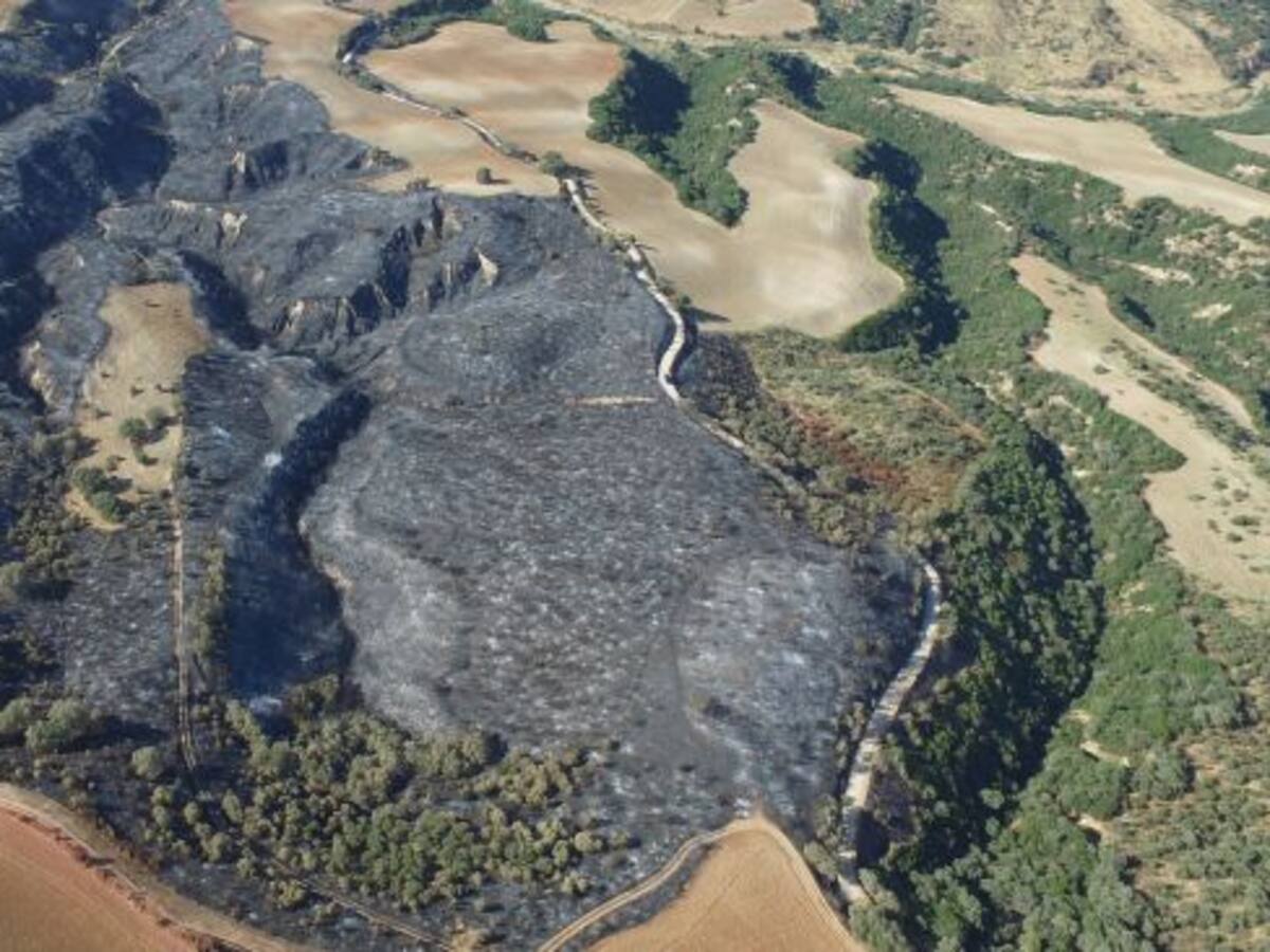 Provocó un incendio forestal tras sufrir un accidente