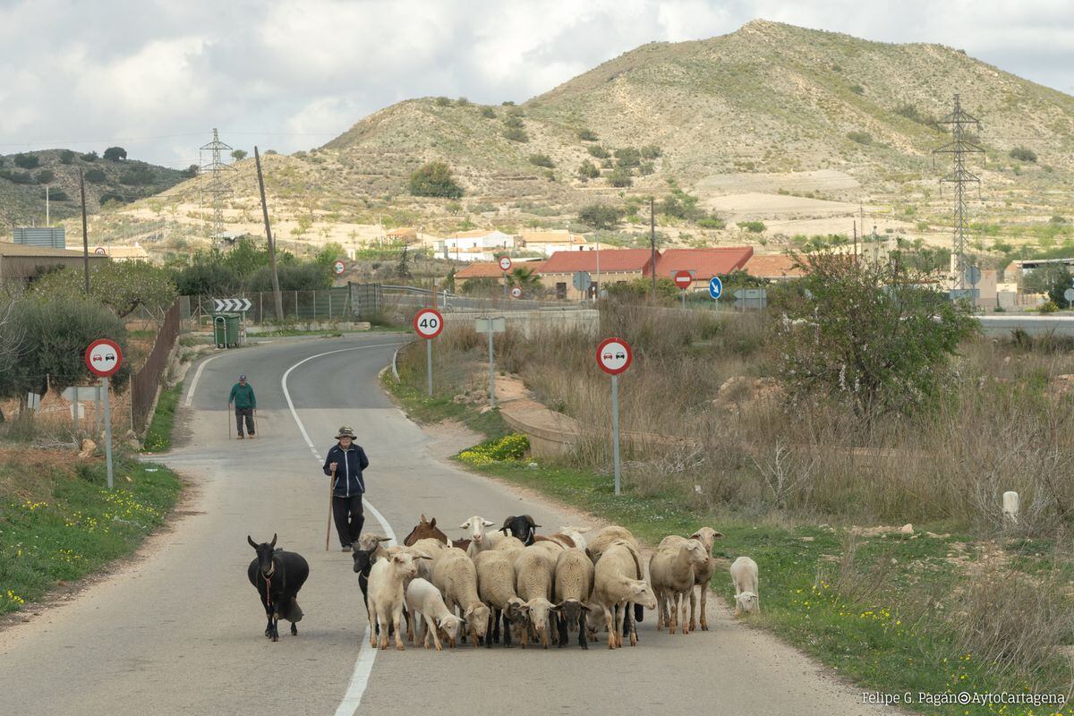 Zona oeste de Cartagena