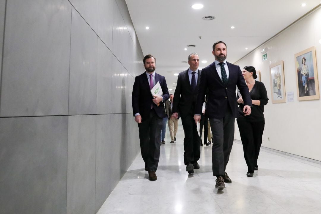 Santiago Abascal pasea por el Congreso de los Diputados