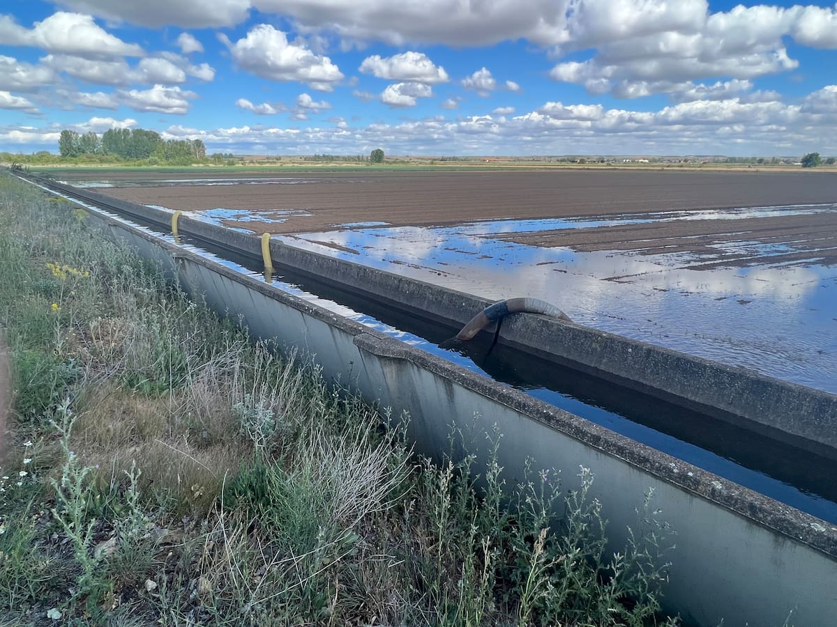 Entrevista a José Antonio Turrado (12/6/2023)