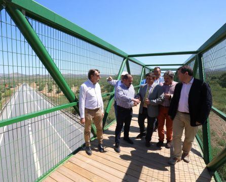 Inauguración de la pasarela metálica para cruzar la A-316 en Alcaudete