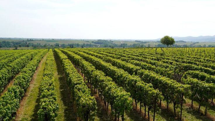 La Primera Llamada del Día con Roberto Salinas, de UAGR (03/06/2021)