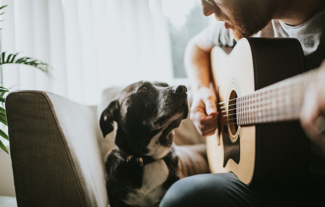 Una persona toca la guitarra mientras un perro lo mira. 