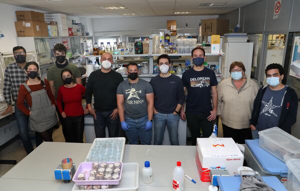 El investigador Julio Diez Casero(4I) junto al equipo de investigadores en el laboratorio de plagas y enfermedades foretales de la UVa del campus de Palencia