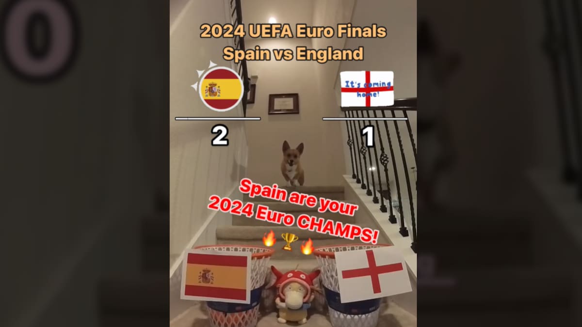 Nada que envidiar al pulpo Paul: el perro que se ha hecho viral con sus predicciones durante la Eurocopa la clava en la final