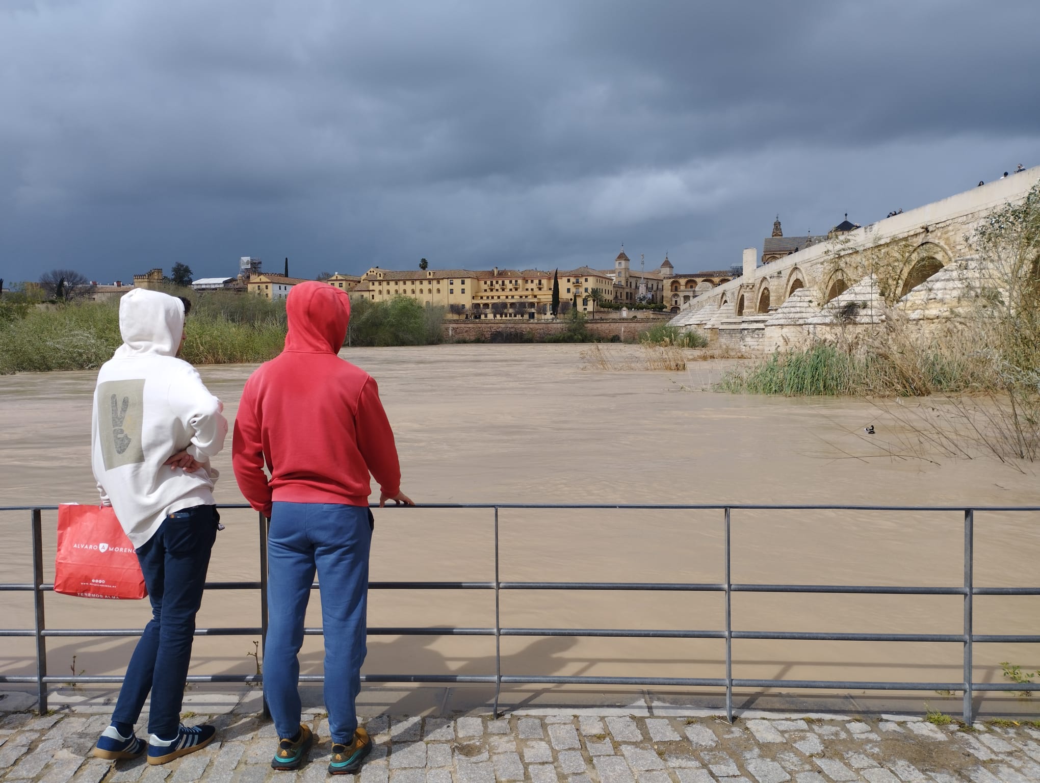 Las fuertes lluvias de los últimos días ha provocado la subida del Guadalquivir a su paso por Córdoba