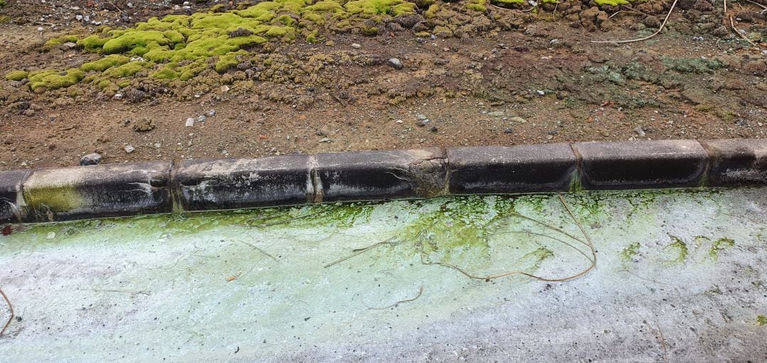 El colectivo ecologista ha explicado que, bajo el lema &quot;Tomar agua nos da vida, tomar conciencia nos dará agua&quot;, han pretendido denunciar &quot;in situ&quot; la contaminación química del río Asua, &quot;ante la pasividad e inacción de las instituciones responsables&quot;.