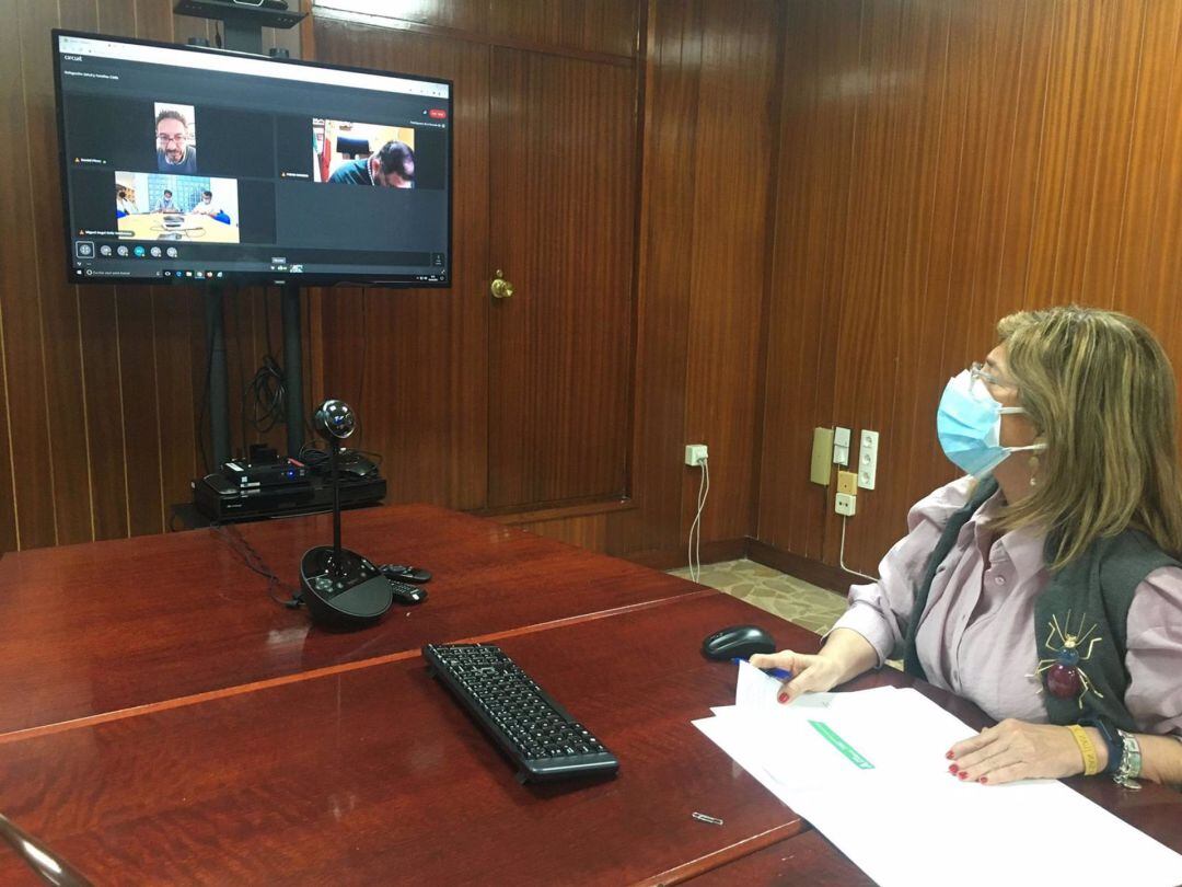 La delegada de Salud durante la reunión telemática con los alcaldes y alcaldesas de la Sierra