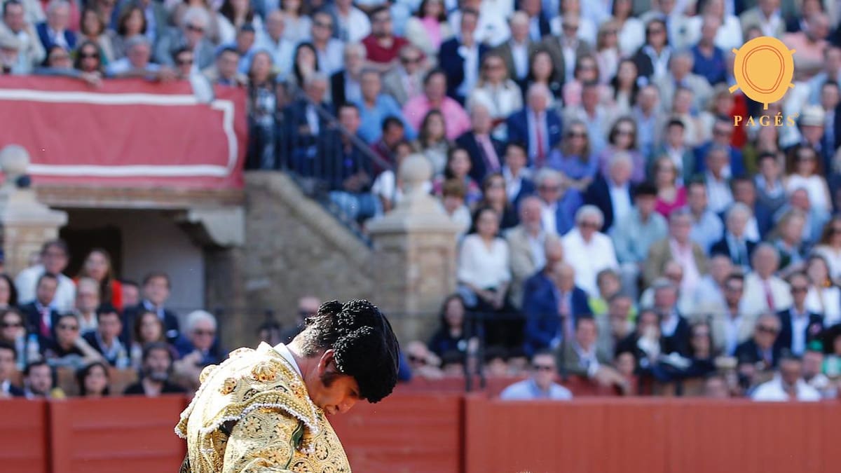 Programa El Toreo (sábado, 15-noviembre-2025)