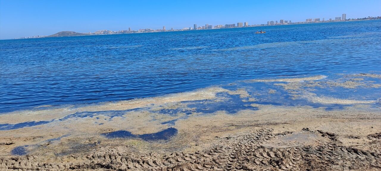 Mar Menor