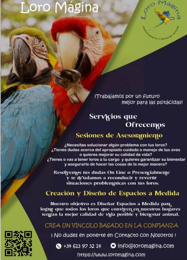 Díptico informativo de 'Loro Mágina'