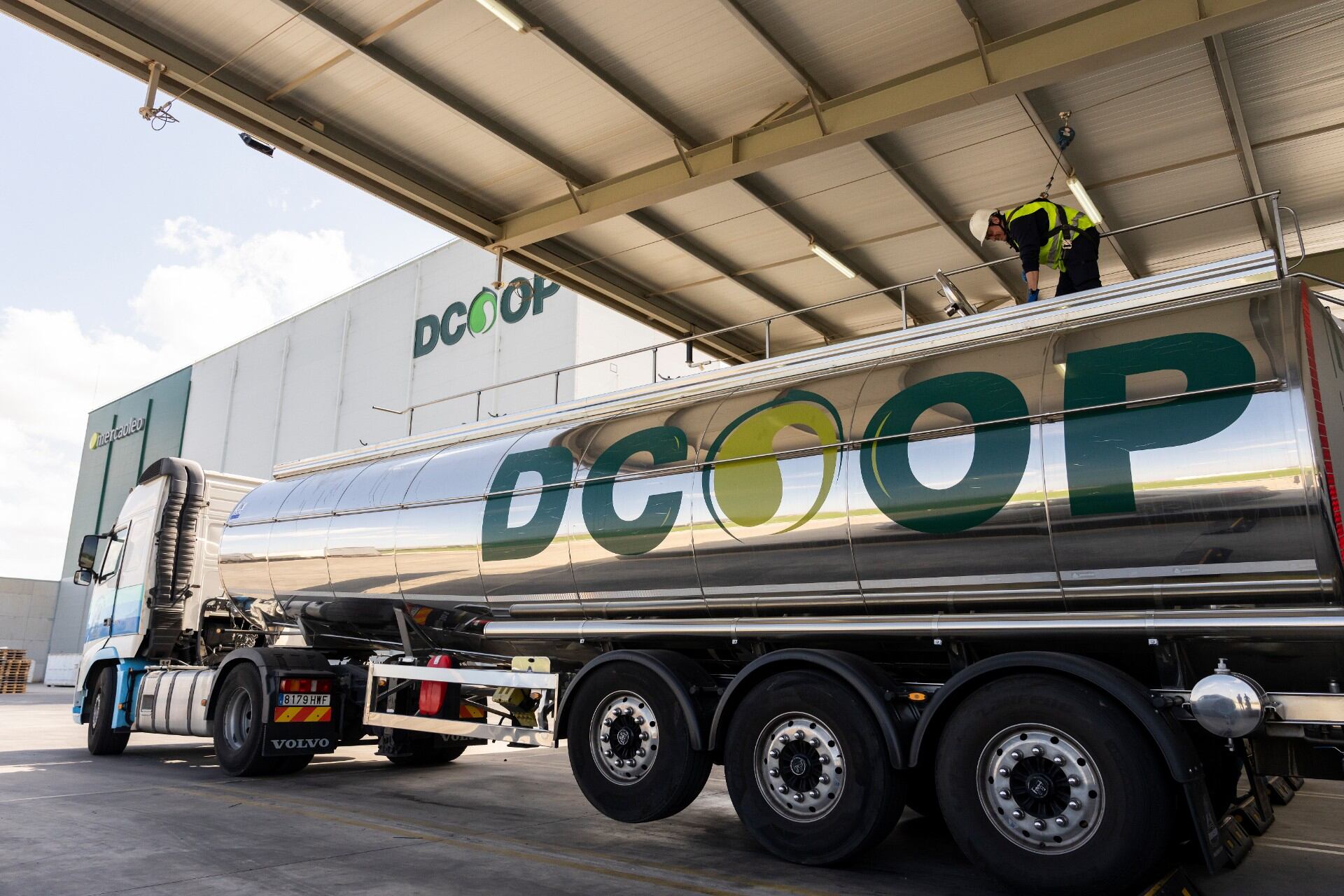 Dcoop cerró 2024 con una facturación de 1.554 millones, la más alta de su historia