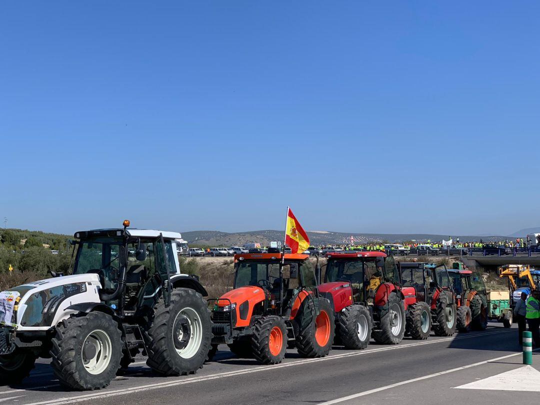 Tractorada del sector agrario en Córdoba